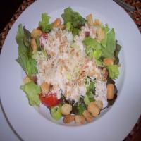 Tuna Salad Supreme Recipe - (4.6/5)_image