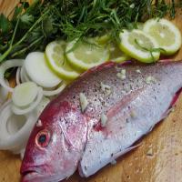 Red Snapper Grilled on Lemon, Herbs and Onions image