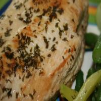 Broiled Chicken with Oil, Lemon, and Garlic Sauce_image