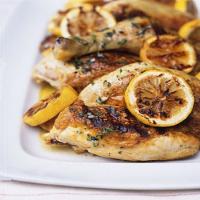Grilled Chicken with Lemon, Garlic, and Oregano image
