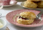 best-scone-recipes-english-cream-scone image