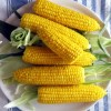 easy-pressure-cooker-corn-on-the-cob-tips-hip image