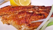 grilled-catfish-fillets-cabin-in-the-woods image