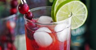 10-best-whiskey-ginger-cocktail-recipes-yummly image