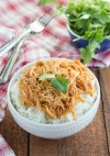 slow-cooker-shredded-bbq-chicken-the-recipe-critic image
