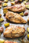 baked-buttery-herb-chicken-and-potatoes-the image