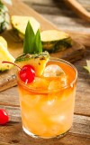 how-to-make-a-mai-tai-cocktail-crafty-bartending image