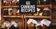60-most-popular-canning-recipes-to-preserve-your-fruits image