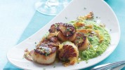 seared-scallops-with-pea-pure-crisp-pancetta image