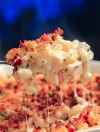 the-best-bacon-mac-and-cheese-carnaldish image