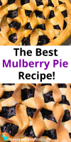 the-best-mulberry-pie-recipe-the-organic-goat-lady image