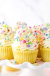 easy-homemade-vanilla-cupcakes-recipe-moist image