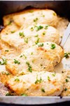 baked-parmesan-chicken-the-recipe-critic image