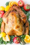 turkey-recipe-juicy-roast-turkey-recipe-how-to-cook-a-turkey image