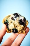 vegan-blueberry-muffins-recipe-easy-recipes-for image
