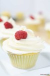 easy-vanilla-cupcake-recipe-from-scratch-chef-lolas image