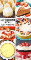 10-easy-cheesecake-recipes-for-beginners-life-love image