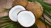 world-coconut-day-11-best-coconut-recipes-nariyal image