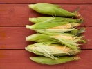 50-fresh-corn-recipes-recipes-and-cooking-food image
