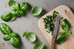 how-to-make-the-best-20-fresh-basil-recipes-making image