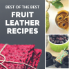 18-amazing-fruit-leather-dehydrator-recipes-salt-in image