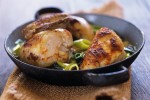 chicken-breasts-with-leeks-parmesan-cheese image