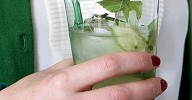 the-best-mojito-recipes-food-wine image