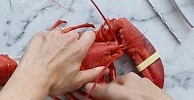 how-to-eat-lobster-video-and-steps-real-simple image