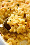best-ever-mac-and-cheese-chef-in-training image