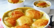 10-best-bisquick-chicken-pot-pie-recipes-yummly image