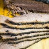 the-best-slow-cooker-coffee-rub-brisket image
