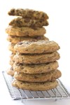 secret-ingredient-chocolate-chip-cookies-recipe-girl image