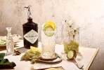 gin-cucumber-lemonade-gin-cocktails-hendricks-gin image