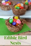 edible-bird-nests-recipe-and-kitchen-activity-for-kids image