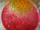 juicing-recipes-for-beginners-using-fresh-fruits-and image