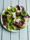 green-salad-with-lemon-dressing-food-revolution image