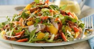 10-best-cooked-coleslaw-mix-recipes-yummly image
