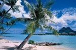 tahitian-cuisine-recipes-wiki image