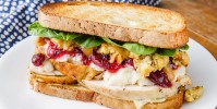 19-best-turkey-sandwiches-recipes-ideas-for-turkey image