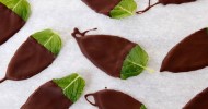 10-best-chocolate-mint-herb-leaves-recipes-yummly image