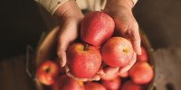 25-different-types-of-apples-apple-varieties-and image