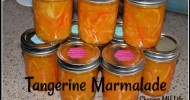 10-best-tangerine-marmalade-recipes-yummly image
