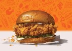 popeyes-spicy-chicken-sandwich-nutrition-facts image