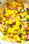 the-best-mango-salsa-recipe-cooking-lsl image