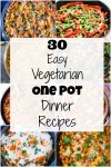 30-easy-vegetarian-one-pot-dinner-recipes-she-likes image