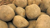 irish-potato-cakes-rteie image