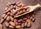 cacao-recipes-using-raw-chocolate-for-superfood-desserts image