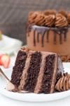 easy-chocolate-drip-cake-recipe-beyond-frosting image