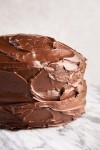 dairy-free-rich-chocolate-cake-recipe-the-spruce-eats image