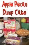 apple-pecan-dump-cake-recipe-fall-favorite-the image